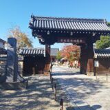 班ハイキング　251116 秋の京都大宮ハイク